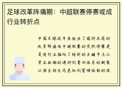 足球改革阵痛期：中超联赛停赛或成行业转折点